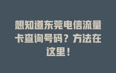 想知道东莞电信流量卡查询号码？方法在这里！