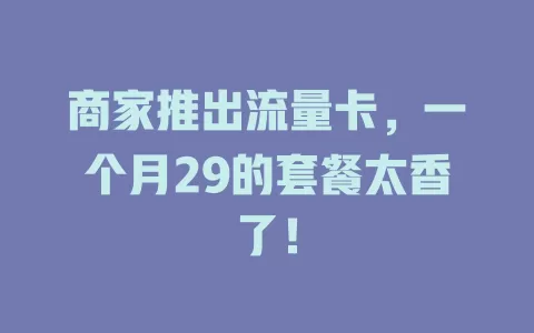 商家推出流量卡，一个月29的套餐太香了！