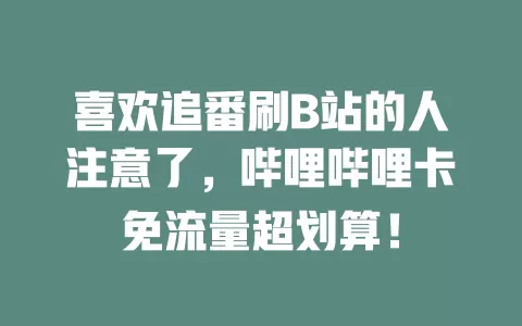 喜欢追番刷B站的人注意了，哔哩哔哩卡免流量超划算！
