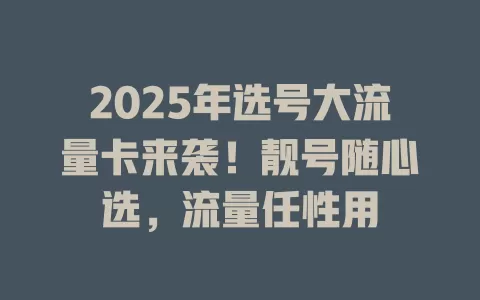 2025年选号大流量卡来袭！靓号随心选，流量任性用