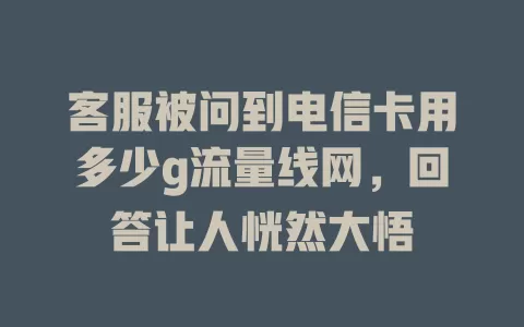 客服被问到电信卡用多少g流量线网，回答让人恍然大悟