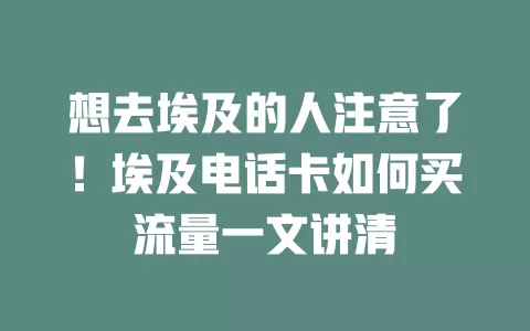 想去埃及的人注意了！埃及电话卡如何买流量一文讲清