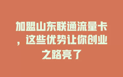 加盟山东联通流量卡，这些优势让你创业之路亮了
