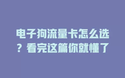 电子狗流量卡怎么选？看完这篇你就懂了