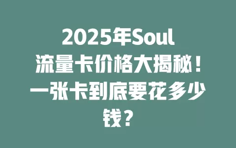 2025年Soul流量卡价格大揭秘！一张卡到底要花多少钱？