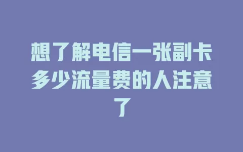 想了解电信一张副卡多少流量费的人注意了
