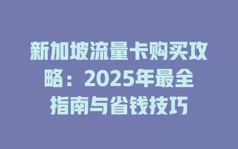 新加坡流量卡购买攻略：2025年最全指南与省钱技巧