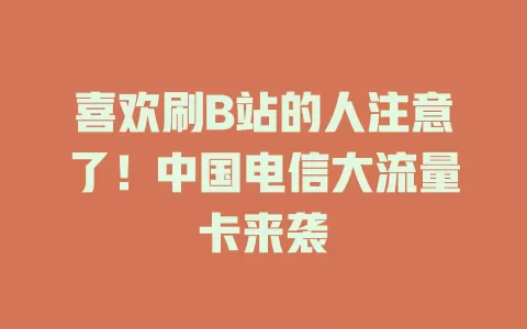 喜欢刷B站的人注意了！中国电信大流量卡来袭