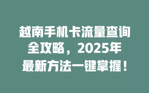 越南手机卡流量查询全攻略，2025年最新方法一键掌握！