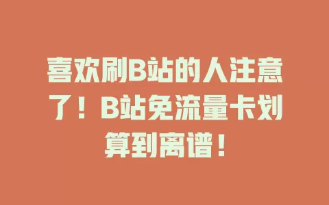 喜欢刷B站的人注意了！B站免流量卡划算到离谱！