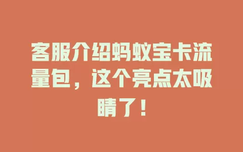 客服介绍蚂蚁宝卡流量包，这个亮点太吸睛了！