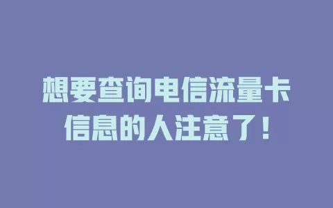 想要查询电信流量卡信息的人注意了！