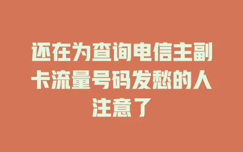 还在为查询电信主副卡流量号码发愁的人注意了