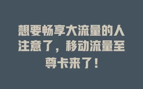 想要畅享大流量的人注意了，移动流量至尊卡来了！
