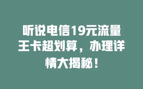 听说电信19元流量王卡超划算，办理详情大揭秘！