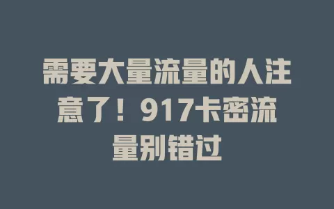 需要大量流量的人注意了！917卡密流量别错过