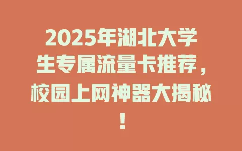2025年湖北大学生专属流量卡推荐，校园上网神器大揭秘！