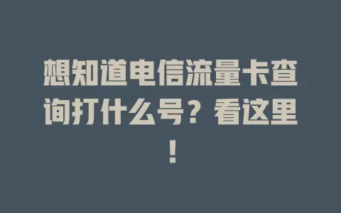 想知道电信流量卡查询打什么号？看这里！