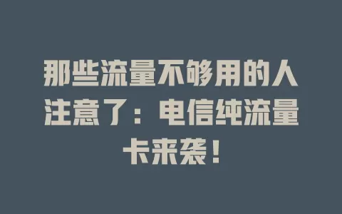 那些流量不够用的人注意了：电信纯流量卡来袭！