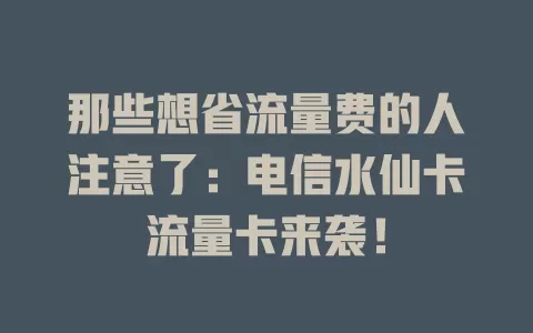 那些想省流量费的人注意了：电信水仙卡流量卡来袭！