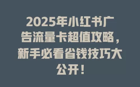 2025年小红书广告流量卡超值攻略，新手必看省钱技巧大公开！