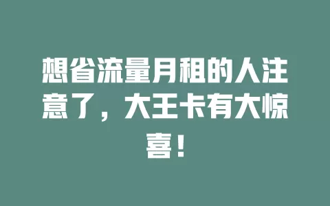 想省流量月租的人注意了，大王卡有大惊喜！