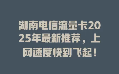 湖南电信流量卡2025年最新推荐，上网速度快到飞起！