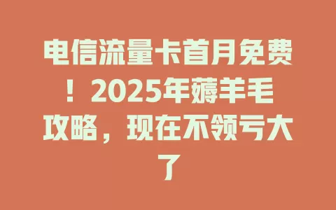 电信流量卡首月免费！2025年薅羊毛攻略，现在不领亏大了