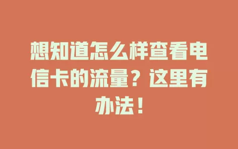 想知道怎么样查看电信卡的流量？这里有办法！