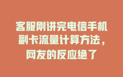 客服刚讲完电信手机副卡流量计算方法，网友的反应绝了