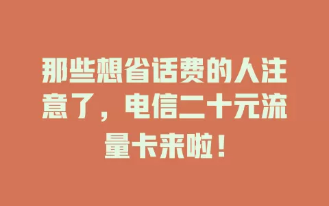 那些想省话费的人注意了，电信二十元流量卡来啦！