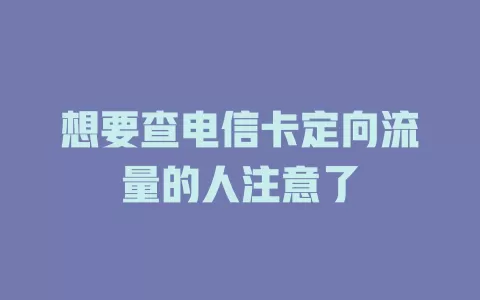 想要查电信卡定向流量的人注意了