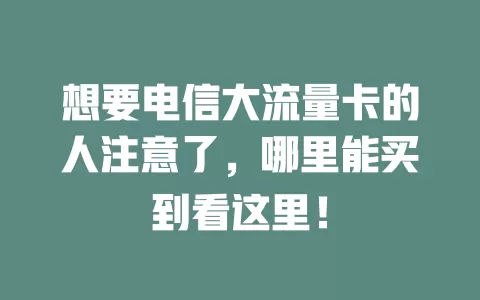 想要电信大流量卡的人注意了，哪里能买到看这里！