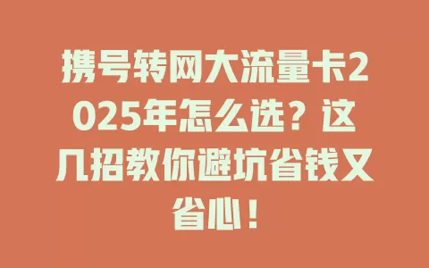 携号转网大流量卡2025年怎么选？这几招教你避坑省钱又省心！