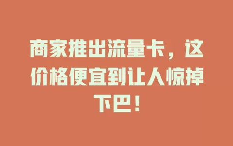 商家推出流量卡，这价格便宜到让人惊掉下巴！