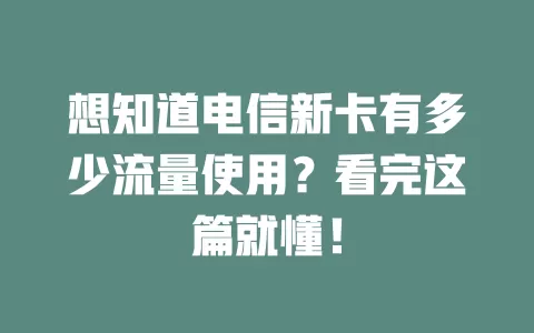 想知道电信新卡有多少流量使用？看完这篇就懂！
