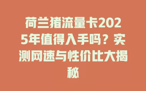荷兰猪流量卡2025年值得入手吗？实测网速与性价比大揭秘