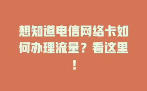 想知道电信网络卡如何办理流量？看这里！