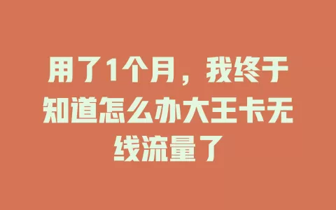 用了1个月，我终于知道怎么办大王卡无线流量了