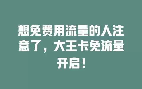 想免费用流量的人注意了，大王卡免流量开启！