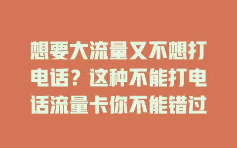 想要大流量又不想打电话？这种不能打电话流量卡你不能错过