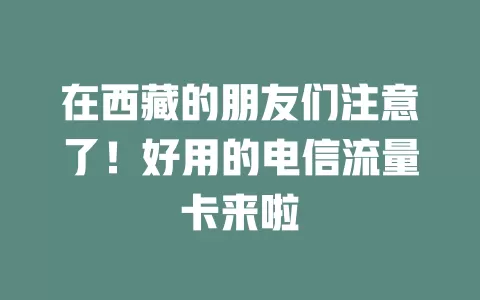 在西藏的朋友们注意了！好用的电信流量卡来啦