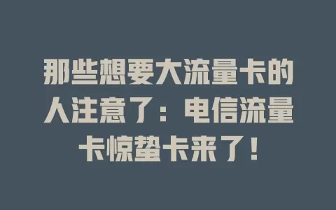 那些想要大流量卡的人注意了：电信流量卡惊蛰卡来了！