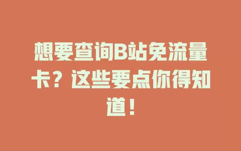 想要查询B站免流量卡？这些要点你得知道！