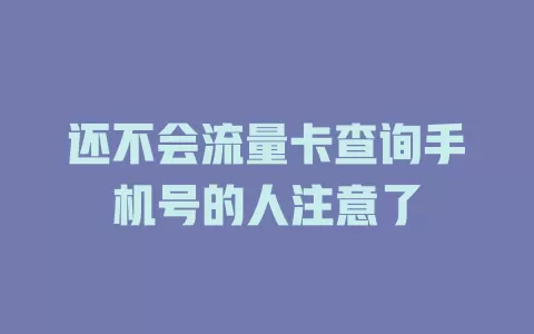 还不会流量卡查询手机号的人注意了