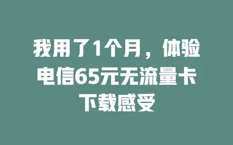 我用了1个月，体验电信65元无流量卡下载感受
