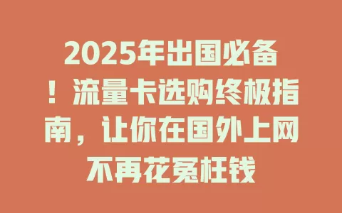 2025年出国必备！流量卡选购终极指南，让你在国外上网不再花冤枉钱