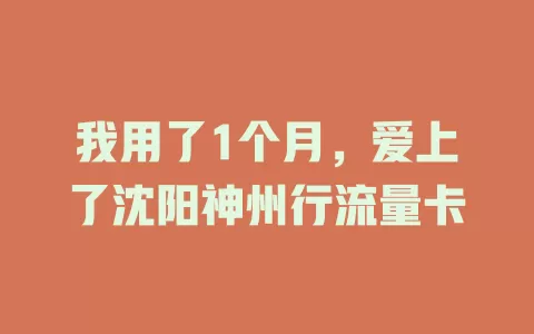 我用了1个月，爱上了沈阳神州行流量卡