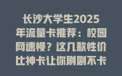 长沙大学生2025年流量卡推荐：校园网速慢？这几款性价比神卡让你刷剧不卡顿！
