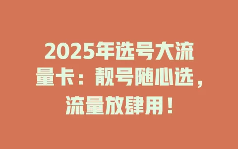 2025年选号大流量卡：靓号随心选，流量放肆用！